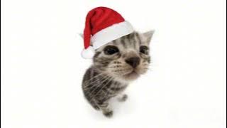 Christmas is coming!!!(sped up playlist)