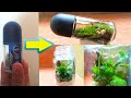 Terarium botol rexona || kreasi barang bekas