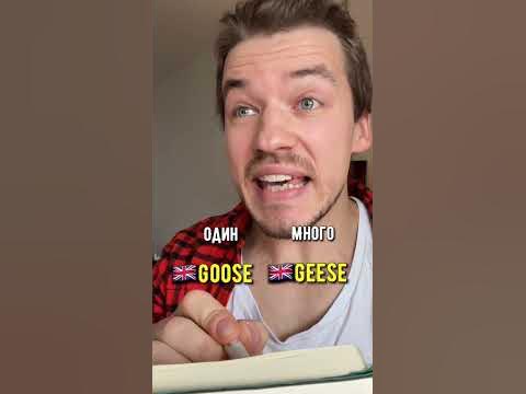 Множественное число…?🇬🇧 - YouTube