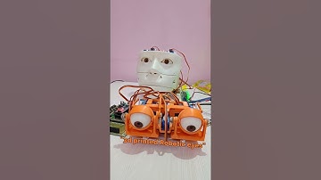 " 3D Printed Robotic Eyes "