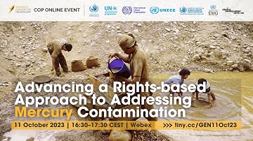 Advancing a Rights-based Approach to Addressing Mercury Contamination | Minamata COP-5 Online Event