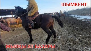видео: Бүгінгі Жылқы бағалары Шымкент картинка: Бүгінгі Жылқы бағалары Шымкент