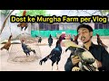 Aseel Murgha Farm Visit | Dost Ka Pyara Murgha Farm Vlog