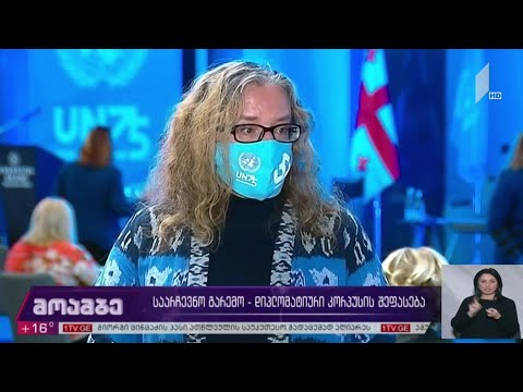 საარჩევნო გარემო - დიპლომატიური კორპუსის შეფასება