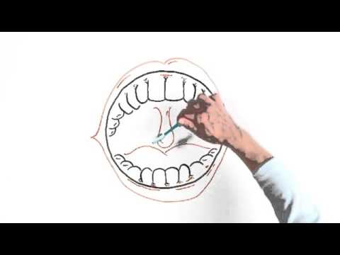 Video: Kuidas koera hambaid teritada?