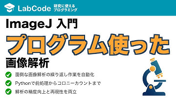 【画像解析入門 #4】ImageJの繰り返し作業を自動化！Python(Jython)スクリプトで始める画像解析の基本