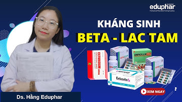 Học bán thuốc - Kháng sinh nhóm Beta Lactam - Ds. Hằng Eduphar