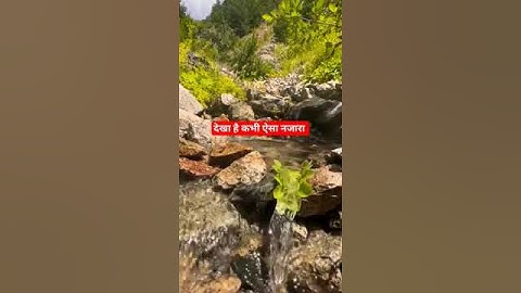 short 😵#100k# shortfeed# viral # short# video #sbuscribed