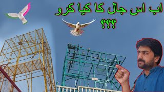 Jall ka kia kro yar #skypigeons