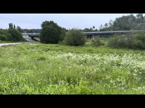 ผลสลากกินแบ่งรัฐบาล วันที่ 1 พย. 2567