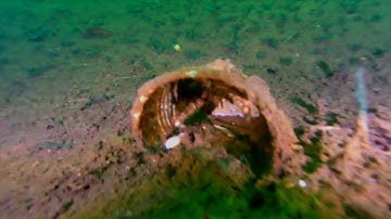 Trident ROV exploring lake.