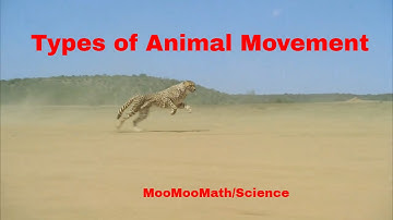 Life Science-Types of Animal Movement