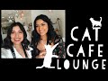 CAT CAFE LOUNGE VLOG || Los Angeles