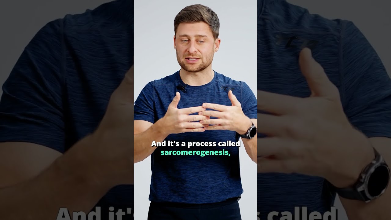 The Science Behind Muscle Flexibility