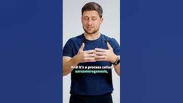 The Science Behind Muscle Flexibility