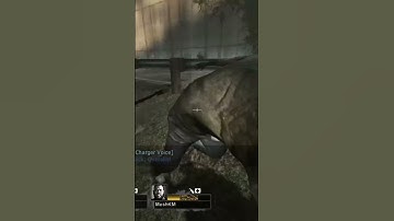 Left 4 Dead 2 but the Charger gets leveled again | #l4d #l4d2versus #expert #ram4death