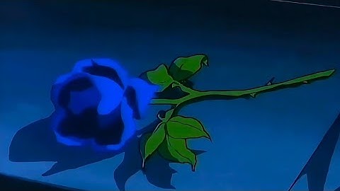 Chromatics cherry but it