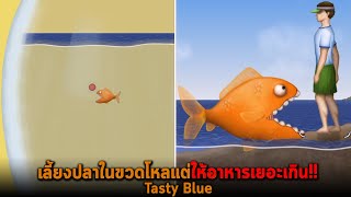 เลี้ยงปลาในขวดโหลแต่ให้อาหารเยอะเกิน Tasty Blue