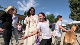 Cash 2.0 Great Dane visits a local Elementary School