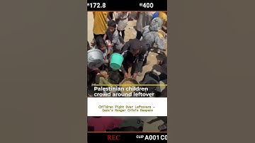 Heartbreaking Video Shows Palestinian Children Scrambling for Food Amid Gaza Blockade
