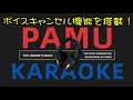 PaMu Karaokeヘッドフォン ボイスキャンセル機能でカラオケが楽しめちゃう！