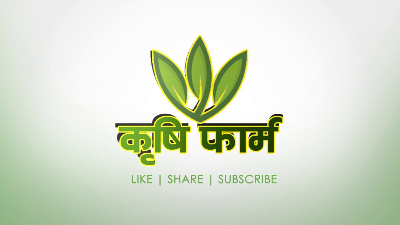 Krishi Farm Intro | कृषि फार्म - YouTube