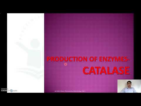 Produktion av Catalase Enzyme och dess tillämpningar