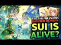 Gbf 2024 may flash banner new light sui  wind veight  banner review