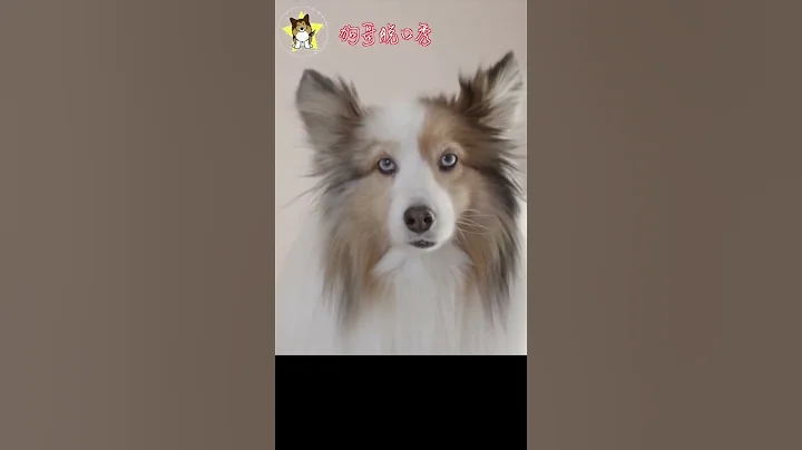 中國企業家們不願意再真心陪共產黨玩了！ - 天天要聞