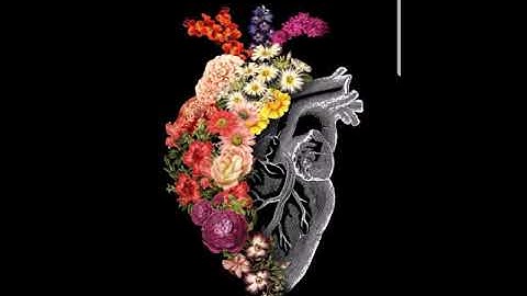 ارح مسامعك ،  احمد العبيد سوره غافر سوره غافر، راحه نفسيه،انشراح،سعه صدر،اطمئنان