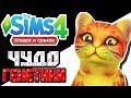 The Sims 4 Challenge | Чудо генетики | Кошка