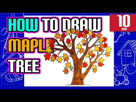 Maple tree drawing Vectors graphic art designs in editable .ai .eps .svg  .cdr format free and easy download unlimit id:6816515