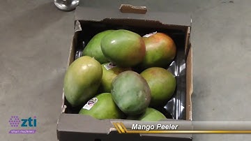 Mango Peeler