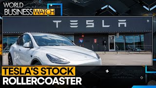 Tesla stock falls more than 40%, lowest since 2023 | World Business Watch