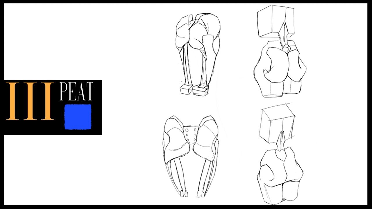 Lower Back study l 2D - YouTube