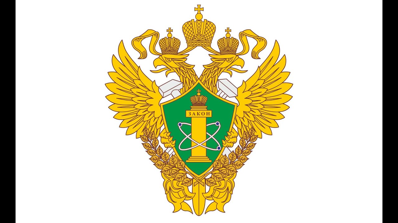 Публичное мероприятие 29.12.2020