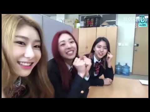 ITZY  Live : 유나 입학식에 왔지💕 : 2019.03.04