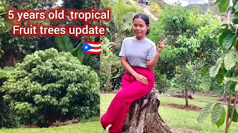 Tropical Gardening: Coconut Planting & Fruit Tree Tour