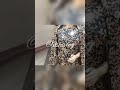 Affordable Lehenga  #wedding #fashion #shorts #youtubeshorts