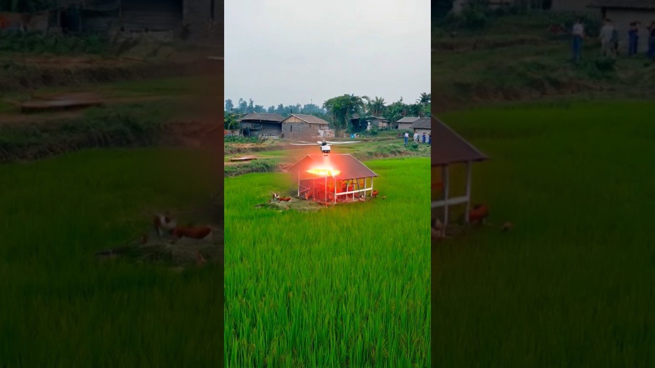 Drone destroy a hens coop 