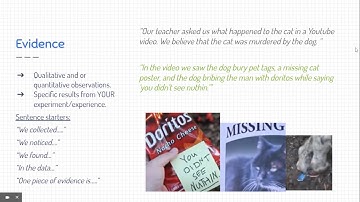 Notes: Scientific Conclusions (CER)