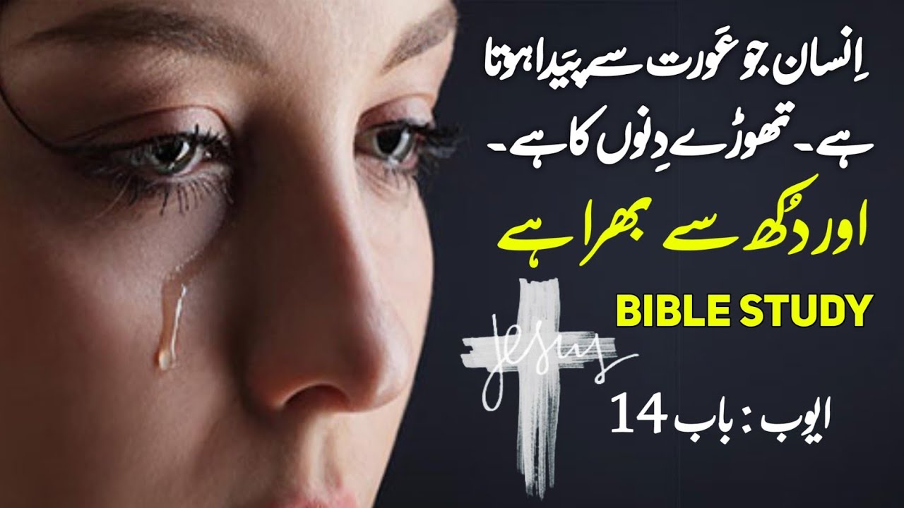 job Chapter 14 | Bible muqaddas | Urdu bible reading | bible study Urdu ...