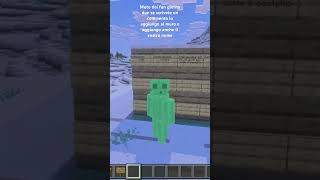 Muro dei fan giorno 2 #minecraft #fan
