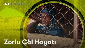 Zorlu Çöl Hayatı | Aile Olmak