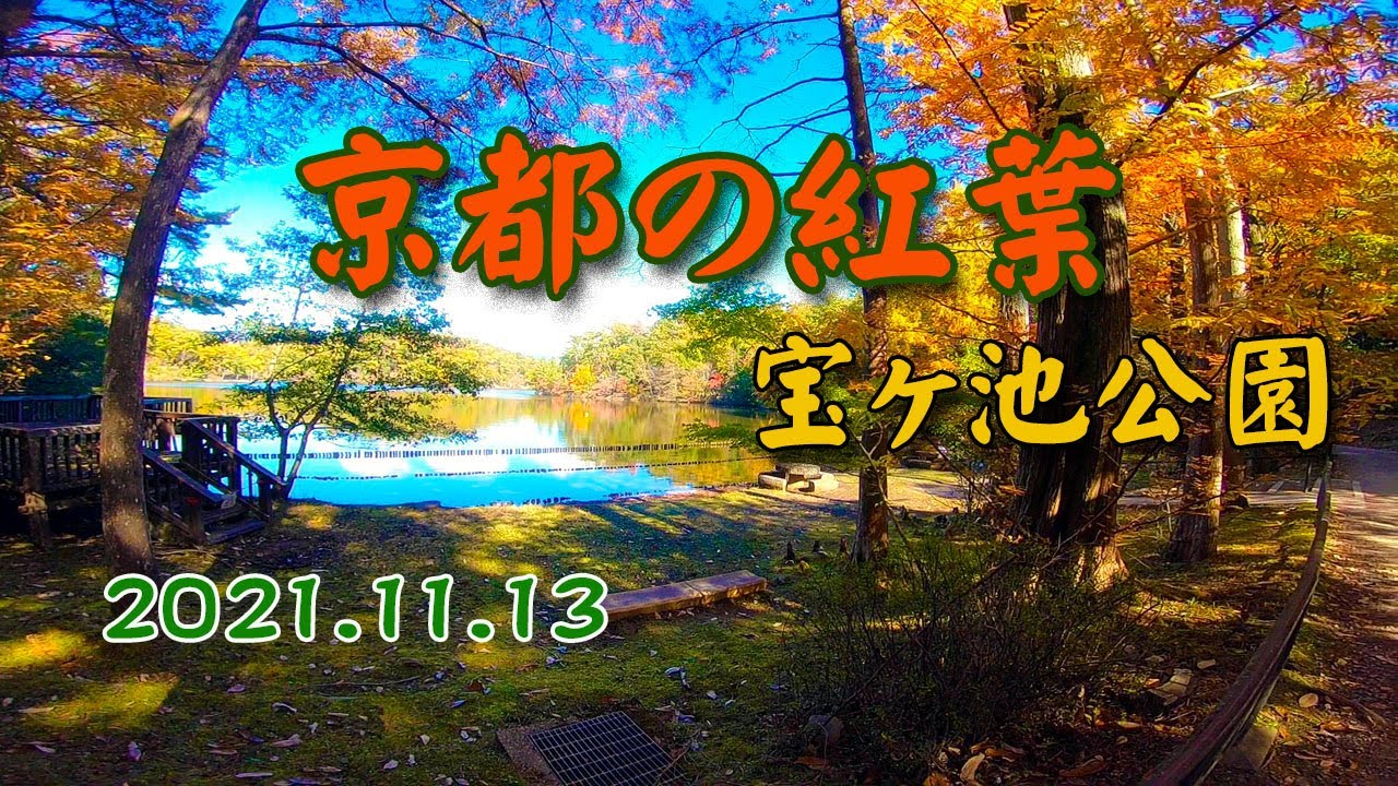 京都の紅葉！2021年☆宝ヶ池公園！ 静かにゆっくりと紅葉見物