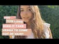 How long does it take henna to come out of hair?| How long does henna stay in hair?|Removing henna|