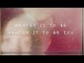 Miniature de la vidéo de la chanson Wanted It To Be You