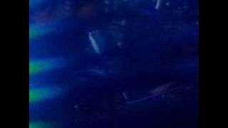 Stanley Clarke Justice Groove Live on Arsenio Hall