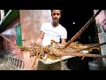 Fried Lobster Jacuzzi 🦞 JAMAICAN FOOD 🇯🇲 Beach Party at Hellshire Beach, Jamaica!