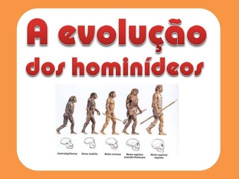 Vídeo: Diferença Entre Hominídeo E Hominídeo